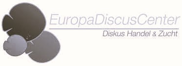 Google Ads Freelancer Kunde - Europa Discus Center Logo